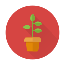 Green Thumb